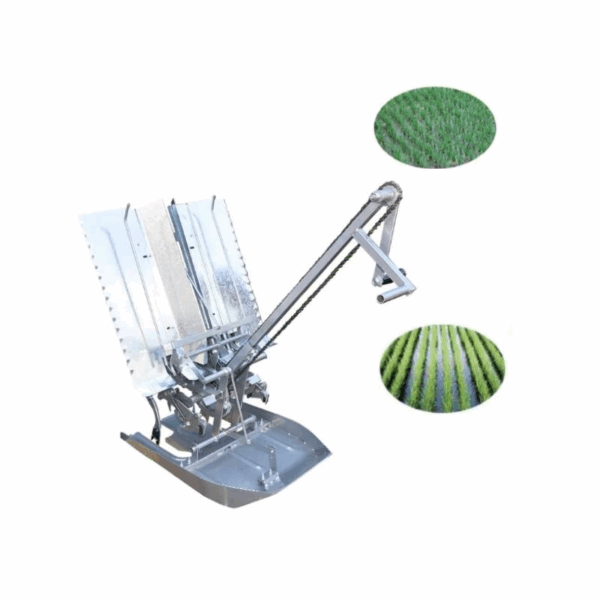 Siddhi Agritech SS Body Double Row Adjustable Manual Rice Planter/ Manual Rice Transplanting Machine - Image 3