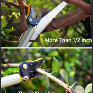 Hectare Telescopic Pruner Cut and hold pruner for Branch Cutting & Fruit Plucking of 10 feet length